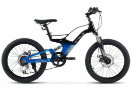 Велосипед Stels Leader 250 20 MD Z010 (м)