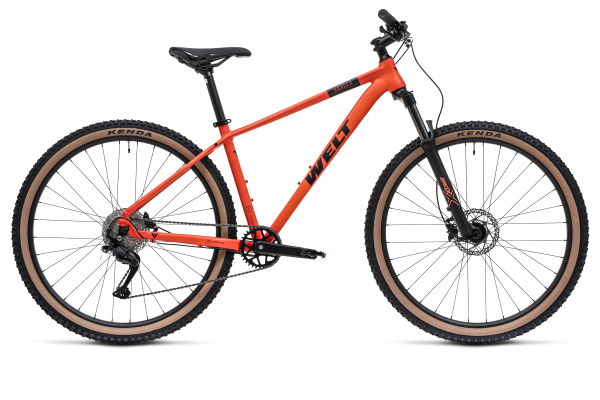 Велосипед Welt Ranger 1.0 29 (2025)